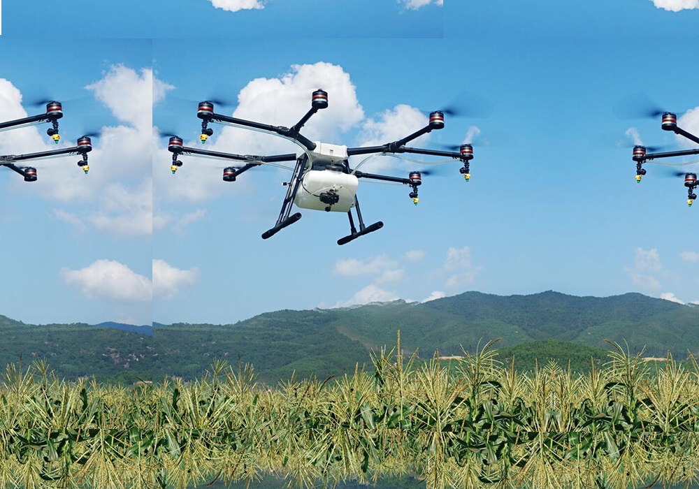 Drone