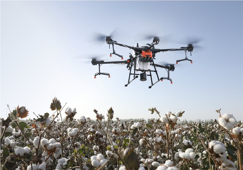 Drone