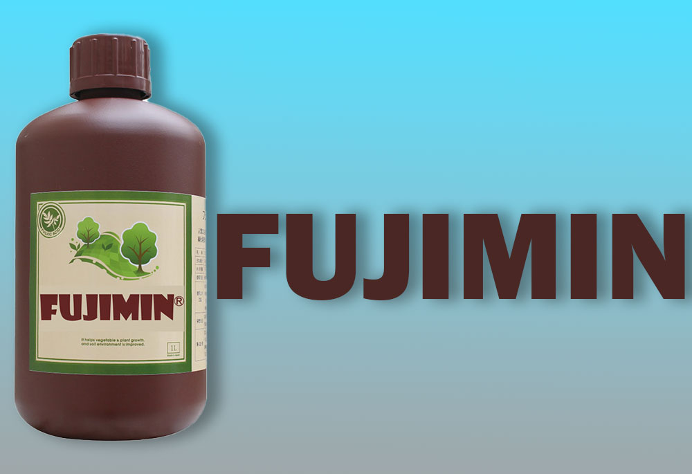 fujimin enzyme
